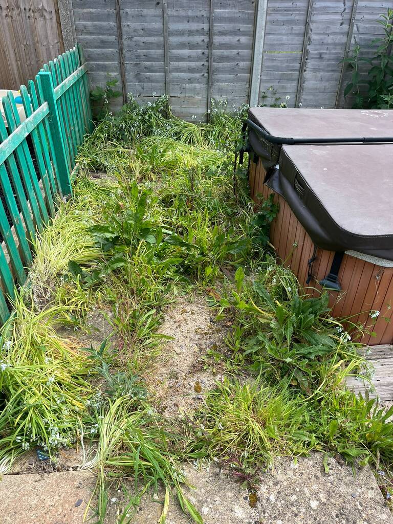 Recent work photo 24